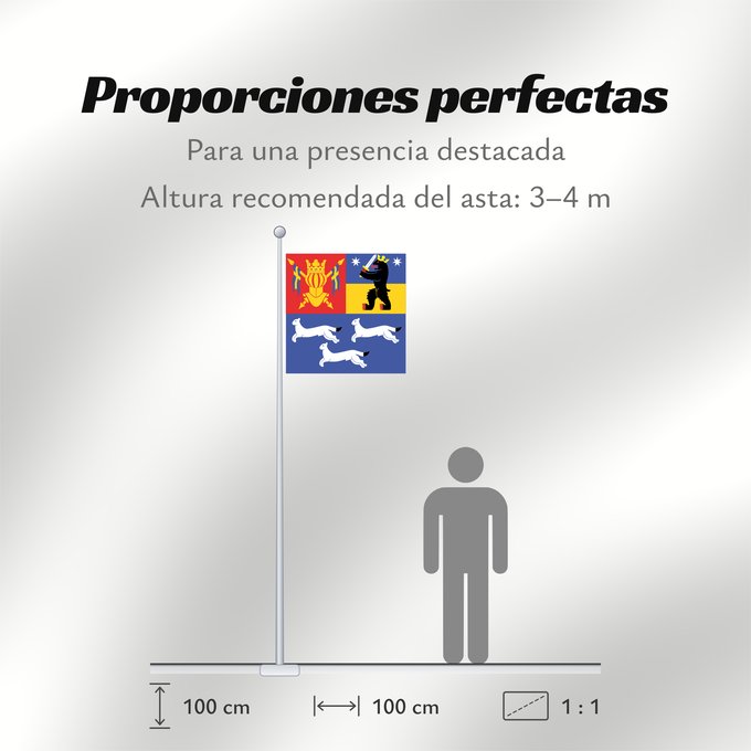 Proporciones de la bandera: Länsi-Suomen lääni