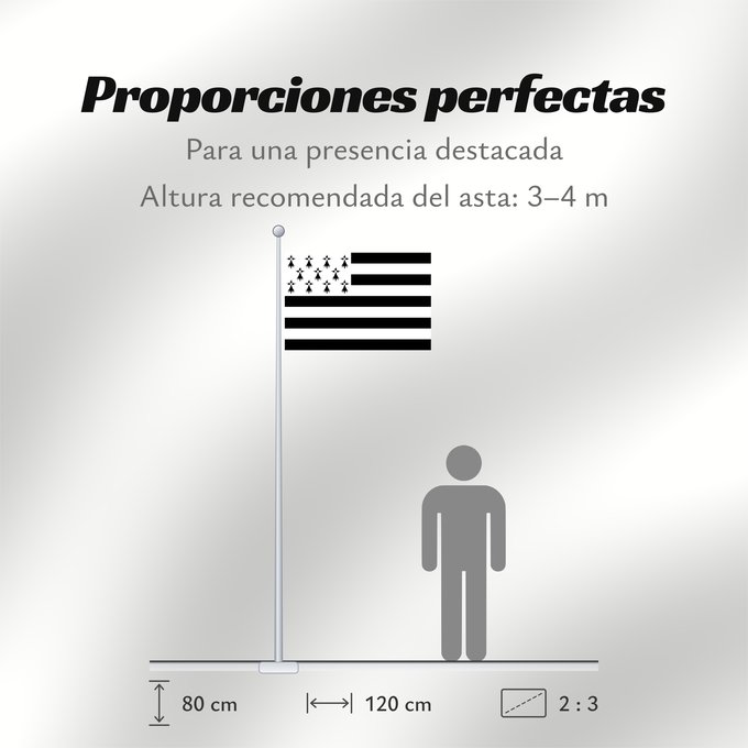 Proporciones de la bandera: Brittany	The Gwenn-ha-du, flag of Brittany	Le Gwenn-ha-du, drapeau de la Bretagne	Spaniel Bretón	Bretagna	Ar Gwenn-ha-du, banniel Breizh