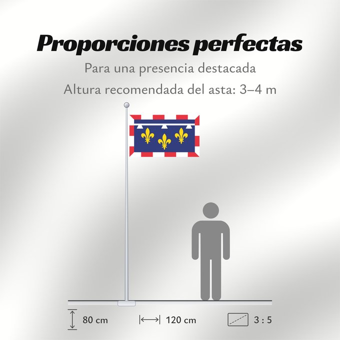 Proporciones de la bandera: Centre-Val de Loire	Unofficial flag of Centre  region  in France	Non-officiel de la région Centre-Val de Loire en France	Centro	Centre	Banniel anofisiel Kreiz-Traoñ al Liger e Frañs