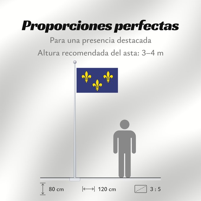 Proporciones de la bandera: Île-de-France Unofficial Non-officiel de la région Île-de-France en France 이 것은 일드프랑스의 깃발입니다