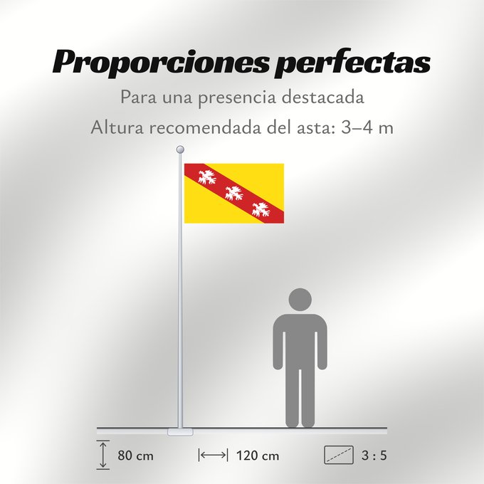 Proporciones de la bandera: Lorraine Region Lorraine in France Région Lorraine en France Lorena Lorena
