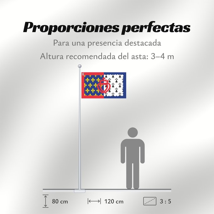 Proporciones de la bandera: Unofficial flag of Pays-de-la-Loire	Unofficial flag of the region Pays-de-la-Loire in France	Non officiel de la région Pays-de-la-Loire	Países del Loira	Pays de la Loire	Los Païses de Léger