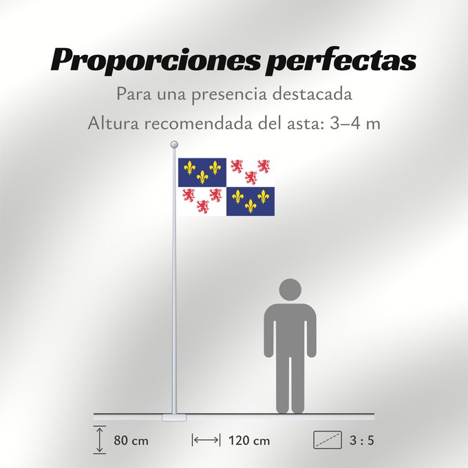 Proporciones de la bandera: Picardie Region Picardie in France Région Picardie en France Picardo Picard