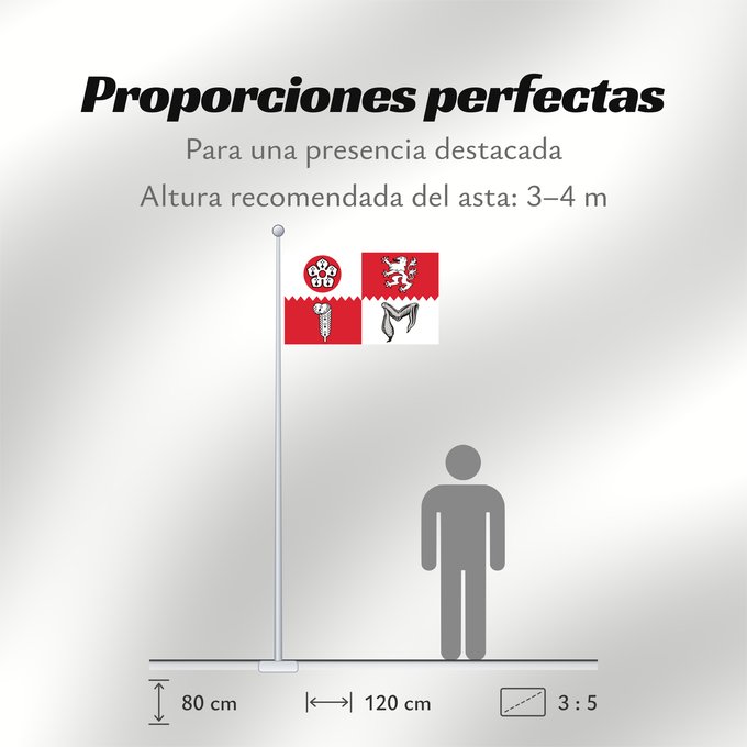 Proporciones de la bandera: County flag of Leicestershire	The County Flag of Leicestershire	Leicestershire