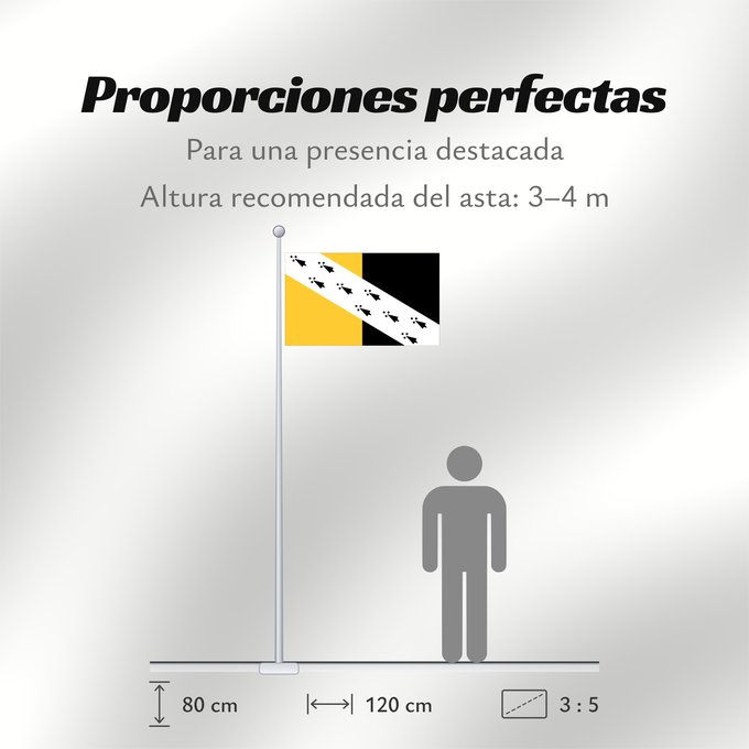 Proporciones de la bandera: Norfolk