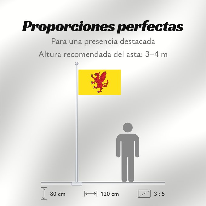 Proporciones de la bandera: Somerset