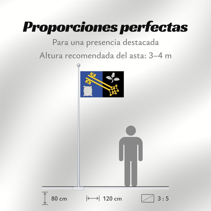 Proporciones de la bandera: County flag of Surrey	The County Flag of Surrey	Surrey