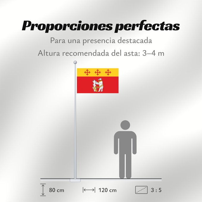 Proporciones de la bandera: Warwickshire