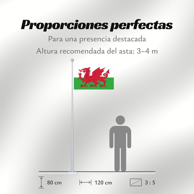 Proporciones de la bandera: Wales 2	Wales	Pays de Galles	Gales	Wale	Galles	Walii	Wīelisc Fana	علم ويلز	Banniel Kembre	Cymru	Galesko bandera	Walesin	Breataine Bige	Brattag Vretin	Walesa	Kembra	Valliae	Знаме на Велс	Couleu de Galles	Флаг Уэльса	Прапор Уельсу