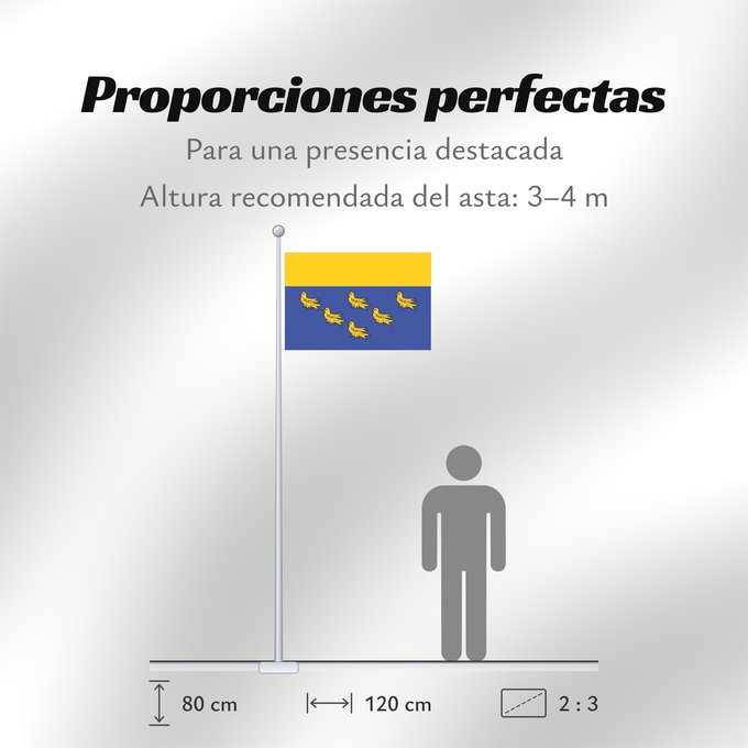Proporciones de la bandera: West Sussex