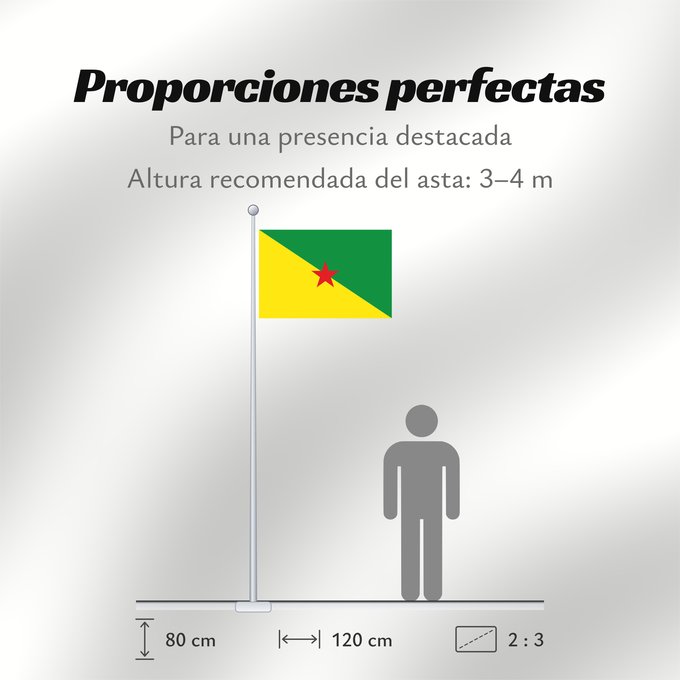 Proporciones de la bandera: French Guiana	Guyane	Guayana Francesa	Französisch-Guayana	Guyana Francese