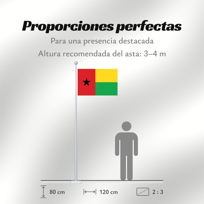 Proporciones de la bandera: Guinea-Bissau	Guinée-Bissau	Guinea-Bissaus	Guiné-Bissau	Gvineo Bisaŭa	پرچم گینه بیسائو	Флаг Гвинеи-Бисау	Gvineje Bissau
