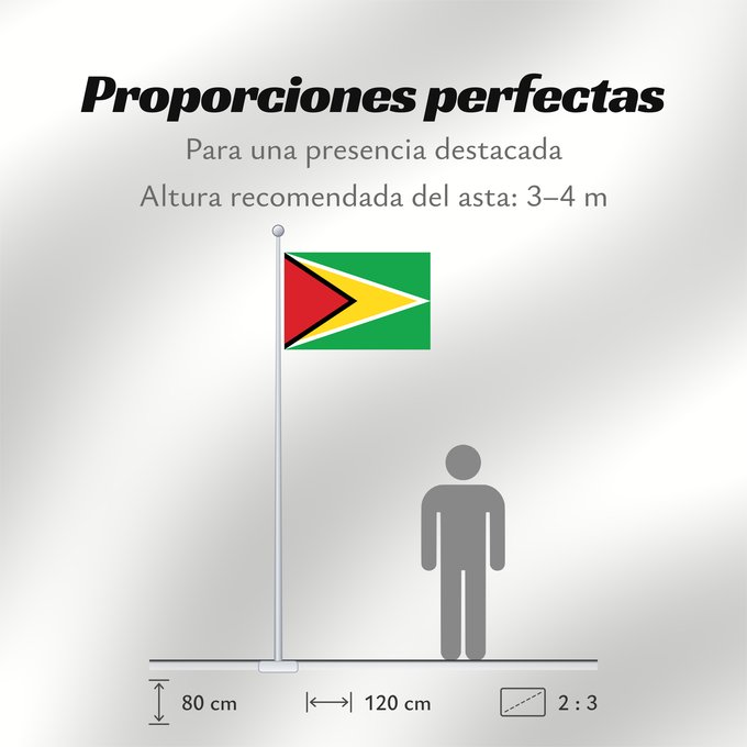 Proporciones de la bandera: Guyana Guiana Wayana wiphala Gujano Gwayana Wayana unancha Флаг Гайаны Guyanas Quốc kỳ Guyana