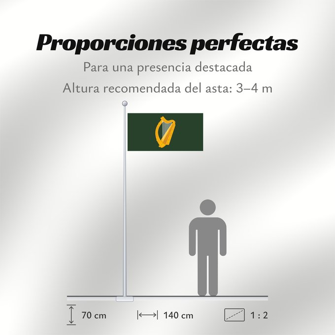 Proporciones de la bandera: Leinster	W Leinster