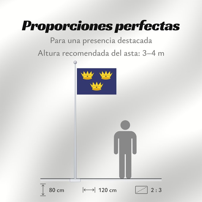 Proporciones de la bandera: Munster