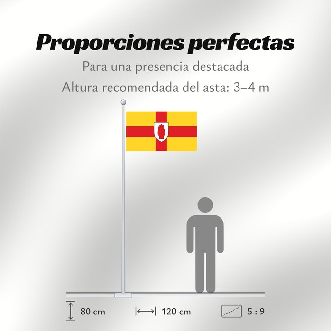 Proporciones de la bandera: Ulster	Ulster  heraldic banner of traditional coat of arms of the province	Úlster 