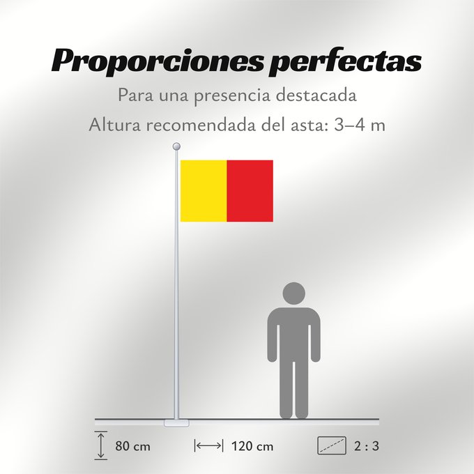 Proporciones de la bandera: Naples	Province of Naples	Province de Naples	Provincia de Naples	Provinz Naples	Napoli