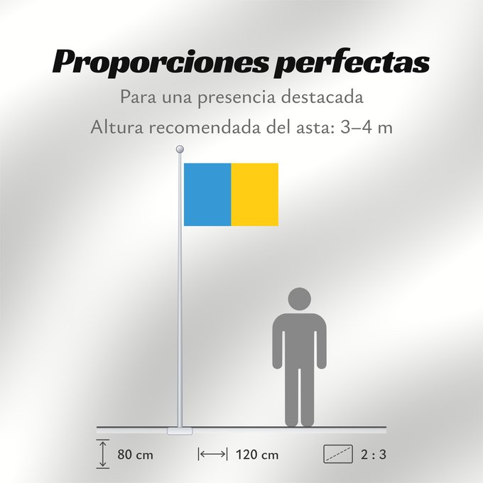 Proporciones de la bandera: Province of Udine Province d'Udine Provincia de Udine Provinz Udine Provincia di Udine