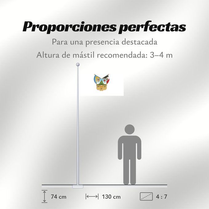 Proporciones de la bandera: Hidalgo	hidalgo y fidalgo