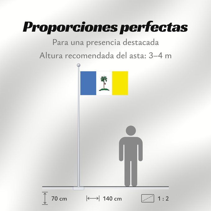 Proporciones de la bandera: Pulau Pinang