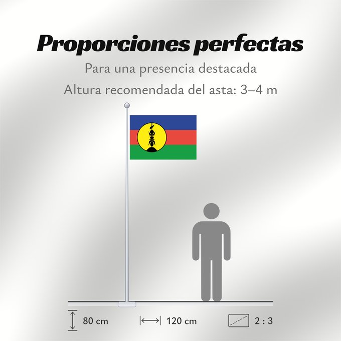 Proporciones de la bandera: FLNKS	Kanak and Socialist National Liberation Front political party	Front de libération nationale kanak et socialiste	Colores Pantone http //www	Neukaledonien	Nuova Caledonia	Front d Alliberament Nacional Canac Socialista