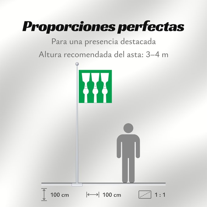 Proporciones de la bandera: Hedmark	Former county of Hedmark, Norway	comté de Hedmark