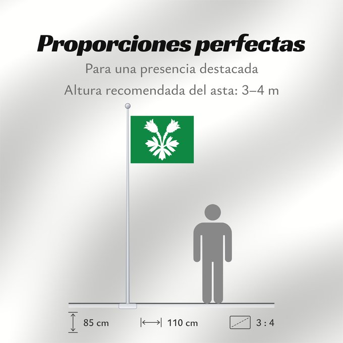 Proporciones de la bandera: Oppland	Former county of Oppland, Norway	comté d’Oppland