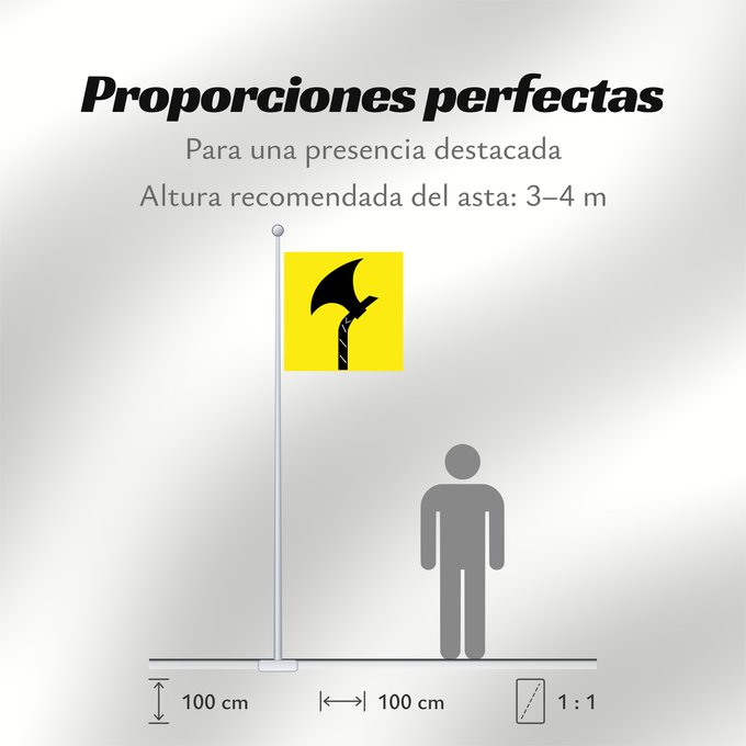 Proporciones de la bandera: Telemark