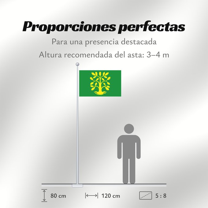 Proporciones de la bandera: Vest-Agder	comté de Vest-Agder	Vest-Agder Fylke