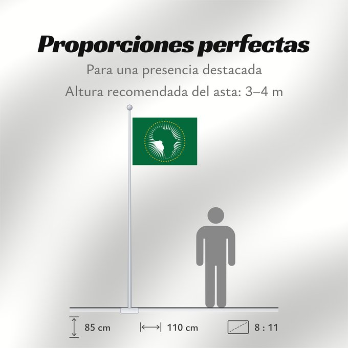 Proporciones de la bandera: African Union