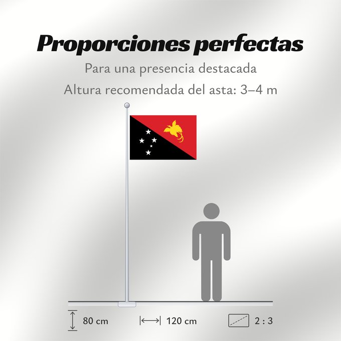 Proporciones de la bandera: Papua New Guinea Papua New GuineaColours Pantone 186 C for red and 116 C for yellow Papouasie-Nouvelle-Guinée Papúa Nueva Guinea Papua-Neuguineas Papua Nuova Guinea Papoea-Nieuw-Guinea Papua-Nova Guiné Papui-Nowej Gwinei علم بابوا غينيا الجديدة পাপুয়া নি