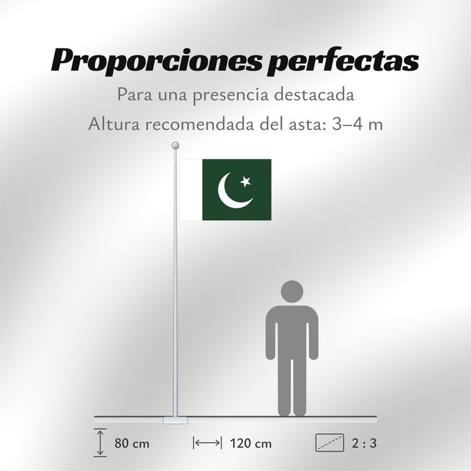 Proporciones de la bandera: Pakistan Pakistan Pakistán Paquistão علم باكستان পাকিস্তানের জাতীয় পতাকা পাকিস্তানর ফিরালহান Pakistano पाकिस्तान का ध्वज ପାକିସ୍ତାନୀ ଝଣ୍ଡା ਪਾਕਿਸਤਾਨ ਦਾ ਕੌਮੀ ਝੰਡਾ د پاکستان بيرغ Флаг Пакистана Pakistana பாக்கித்தான் கொடி Прапор Пакистану پاکستان کا پرچم