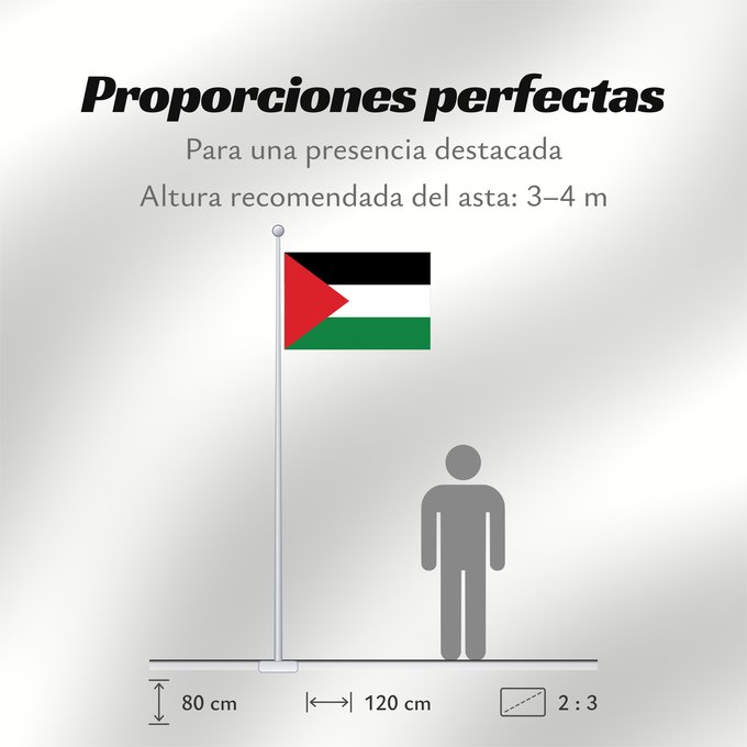 Proporciones de la bandera: Palestine State of Palestine L’État de Palestine Estado de Palestina Palästina Palestina علم فلسطين ফিলিস্তিনের পতাকা Palestino Dari Negara Palestina Флаг Государства Палестина