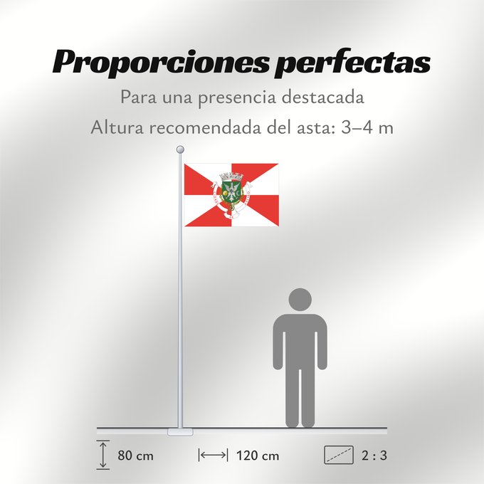 Proporciones de la bandera: Aveiro