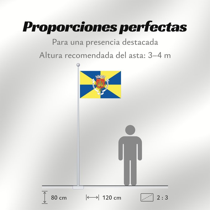Proporciones de la bandera: Bragança