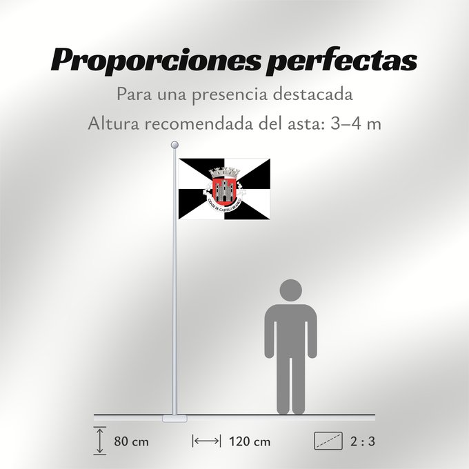 Proporciones de la bandera: Castelo Branco