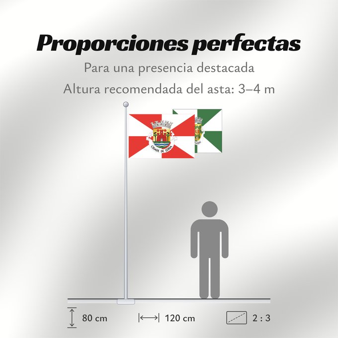 Proporciones de la bandera: Leiria