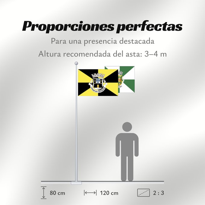 Proporciones de la bandera: Portalegre