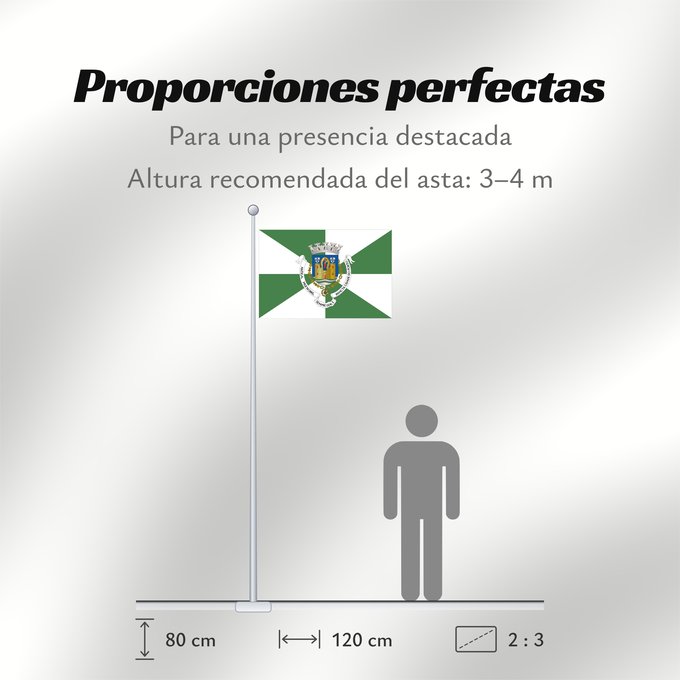Proporciones de la bandera: Porto