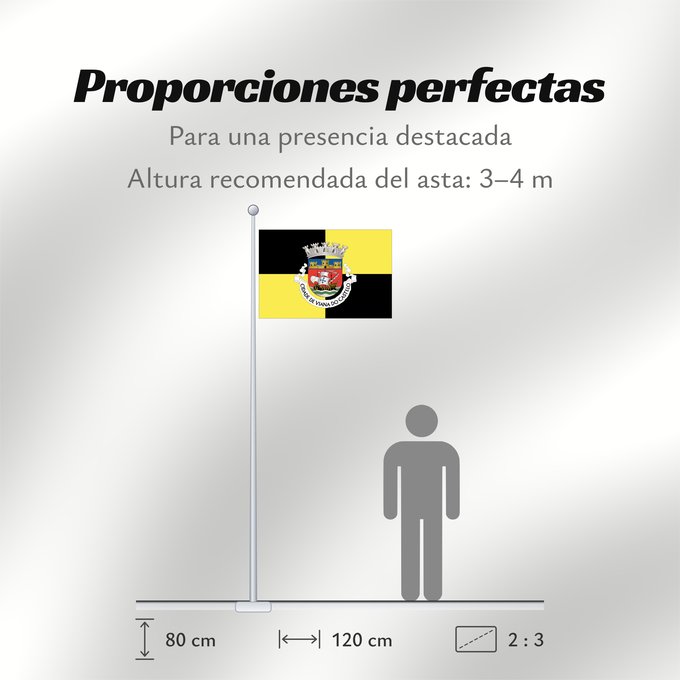 Proporciones de la bandera: Viana do Castelo