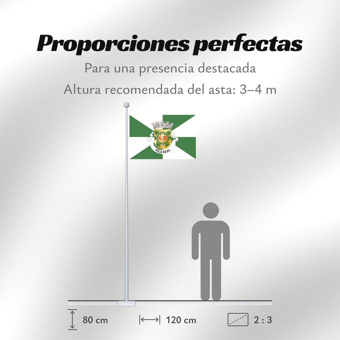 Proporciones de la bandera: Vila Real