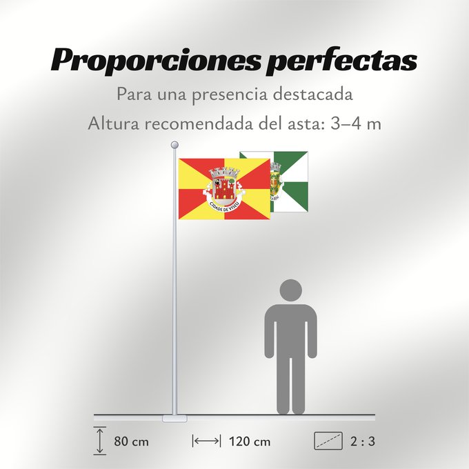 Proporciones de la bandera: Viseu