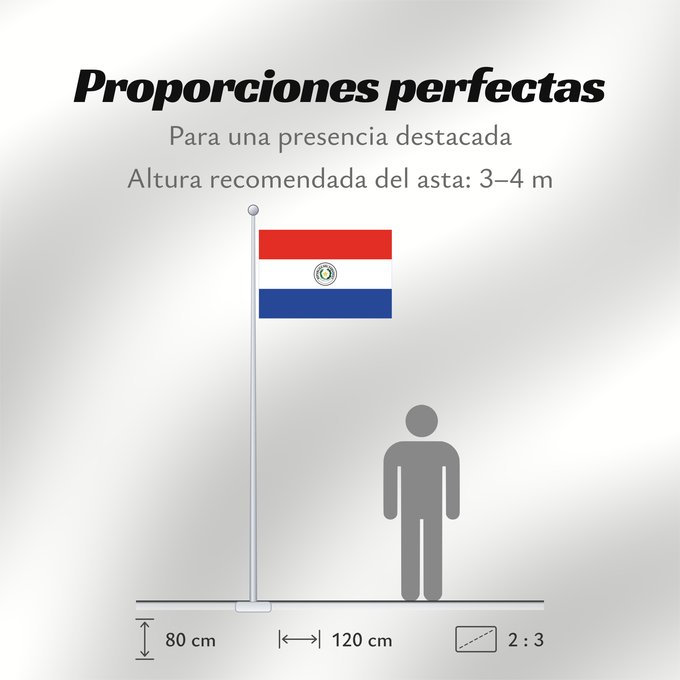 Proporciones de la bandera: Paraguay	Paraguay  obverse	علم باراغواي	پرچم پاراگوئه  روی پرچم	Флаг Парагвая