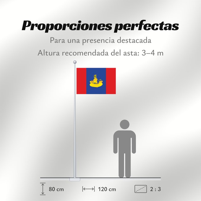 Proporciones de la bandera: Kostroma Oblast Oblast de Kostroma Óblast de Kostromá Oblast Kostroma Флаг Костромской области