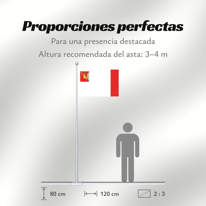 Proporciones de la bandera: Vologda Oblast	Vologda Oblast 	Oblast de Vologda	Óblast de Vólogda	Oblast Wologda