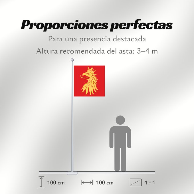 Proporciones de la bandera: Skåne län