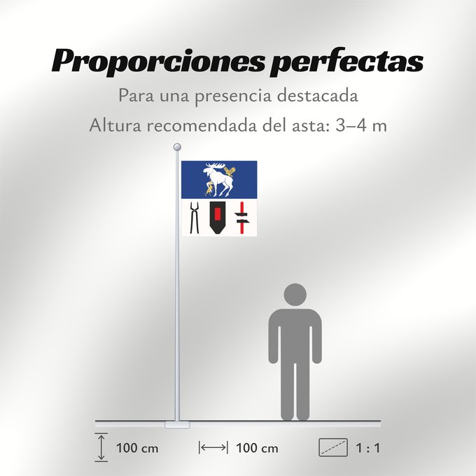 Proporciones de la bandera: Jämtlands län