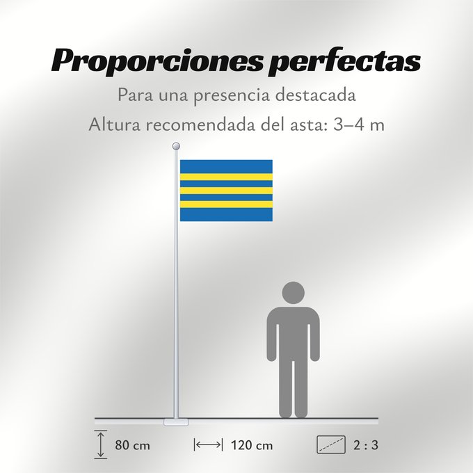 Proporciones de la bandera: Trnavsky vlajka	Trnava Region	Région de Trnava	Región de Trnava	Trnava	Trnava Regione