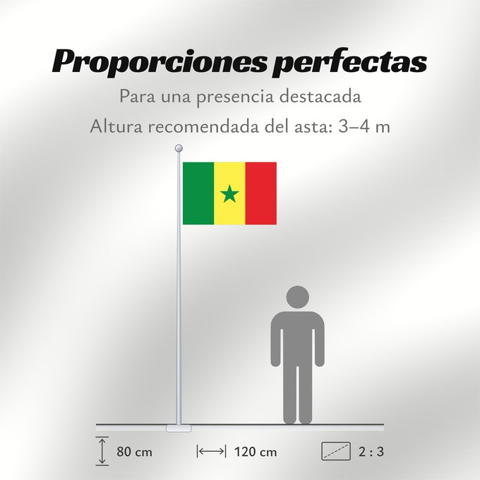 Proporciones de la bandera: Senegal	Sénégal	Senegalo	پرچم سنگال	Senegala