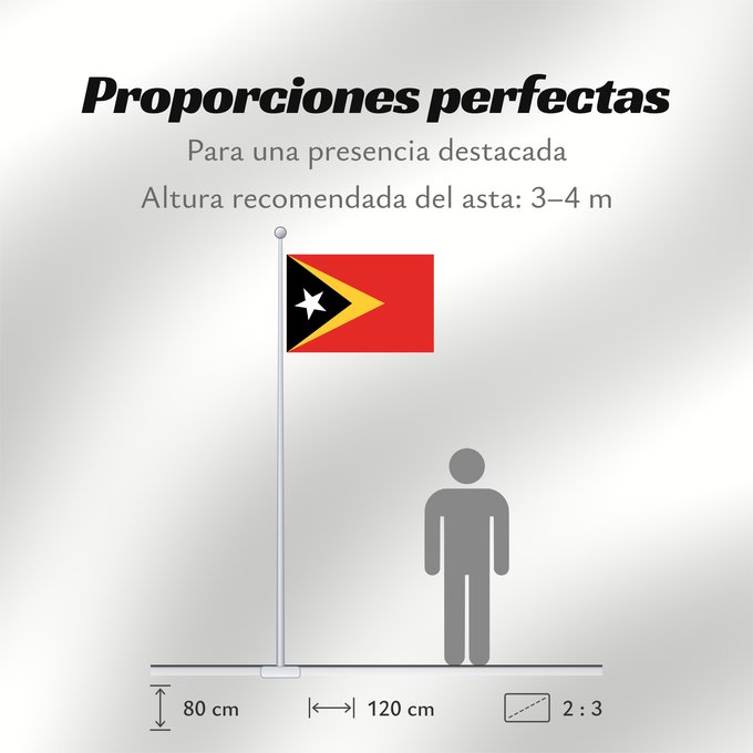 Proporciones de la bandera: East Timor	Timor-Leste  East Timor	Timor oriental	Timor Oriental	Osttimor	Timor Est	Timor-Leste  Oost-Timor	Timor-Leste	علم تيمور الشرقية	তিমুর লেস্তের জাতীয় পতাকা	Timor Leste	Флаг Восточного Тимора	Östtimors	Timór Lorosa e nian